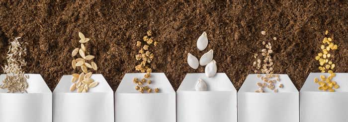 Agriculture inventory management helps SMBs optimize sales and fulfillment operations Agriculture inventory management helps SMBs optimize sales and fulfillment operations